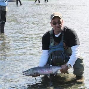 Meet your Posher, Steve